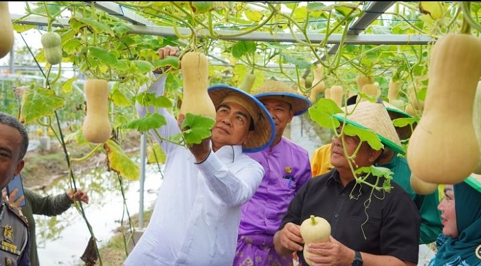 Wagubri dan Bupati Rohil Panen Buah di Taman Edukasi pertanian